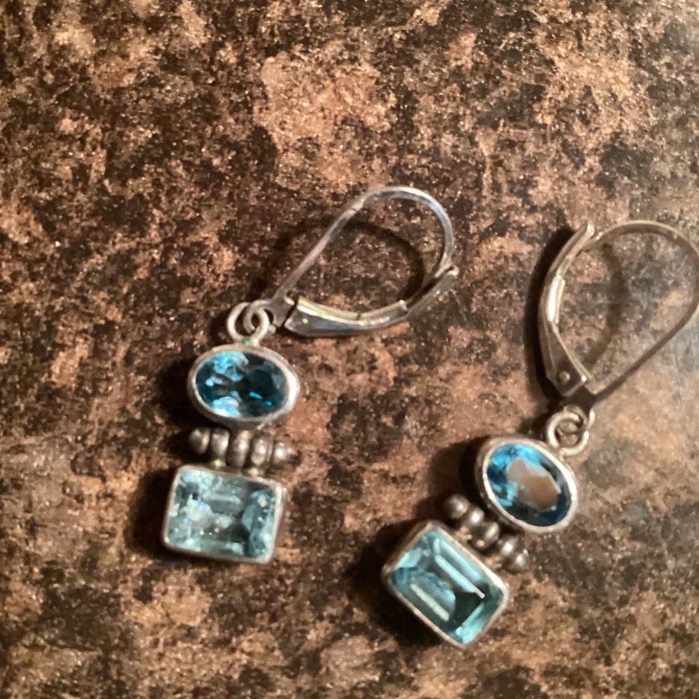 ~ Women's Light Blue Dangle Earrings ~
